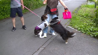 00144_Capture_6.jpg