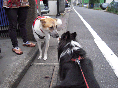 2009101703.gif