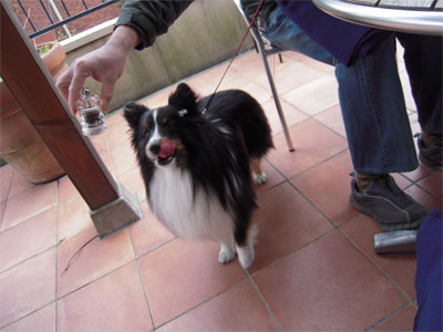 20100401002.jpg