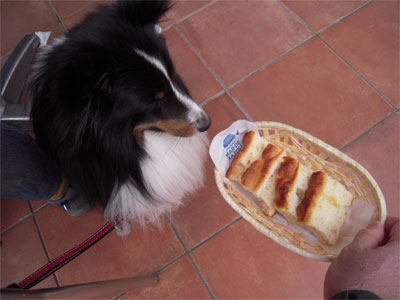 20100401003.jpg