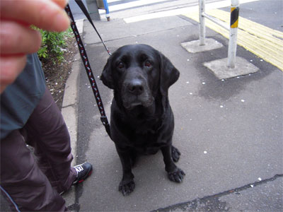 20100401008.jpg