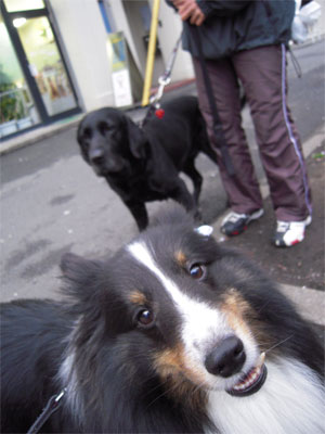20100401009.jpg