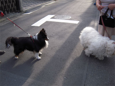 20100510003.jpg