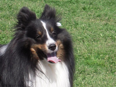 20100510005.jpg