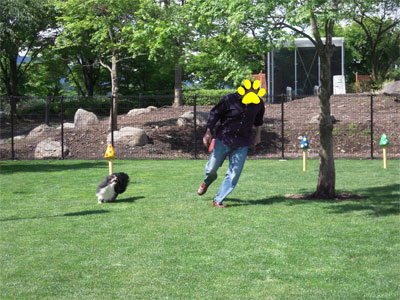 20100528001.jpg