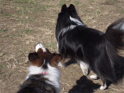 20101110003.gif