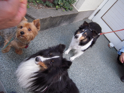 20110123001.JPG