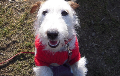 20110123002.JPG