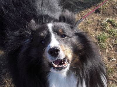20110123003.JPG