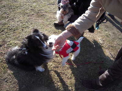 20110123004.JPG