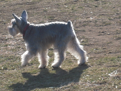 20110123006.JPG