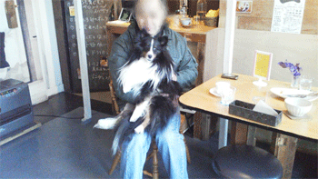 20120212165751.gif