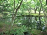DSCN5217.jpg