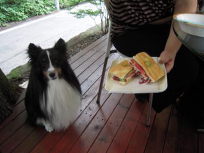 DSCN5242.jpg