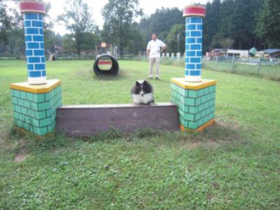 DSCN5450.jpg
