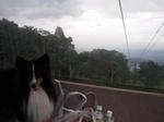 DSCN5558.jpg