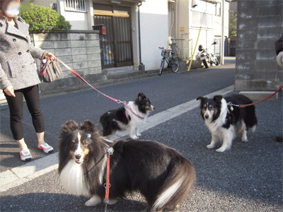 DSCN6782.gif
