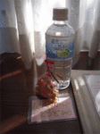DSCN7226.gif