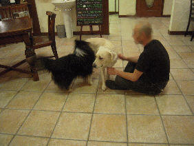 DSCN72612.gif