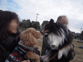 DSCN8024.gif
