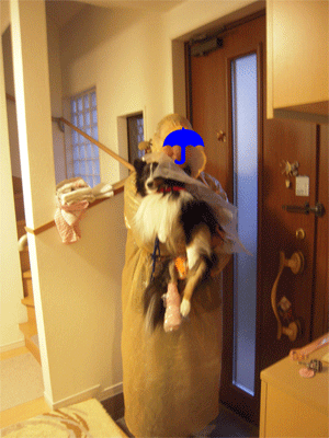 DSCN8037.gif