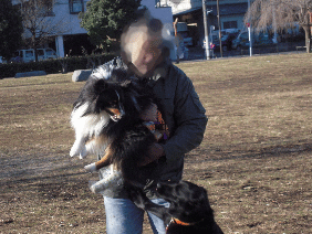 DSCN8050.gif