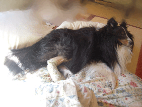 DSCN8091.gif