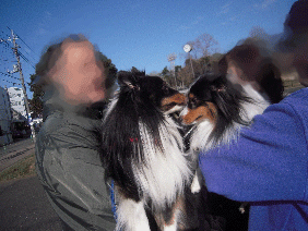 DSCN8094.gif