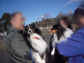DSCN8095.gif