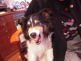 DSCN8270.JPG
