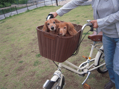 DSCN8599.gif