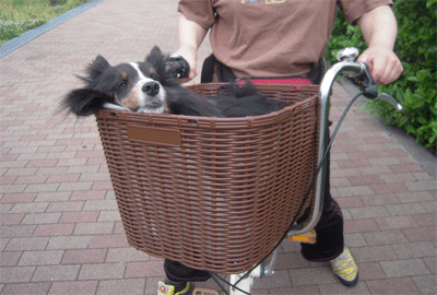 DSCN8606.gif