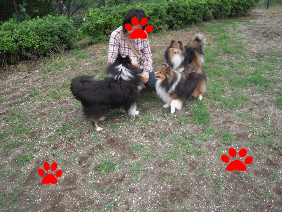 DSCN8622.gif