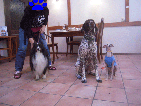 DSCN8886.gif