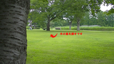 かくれんぼ1.gif
