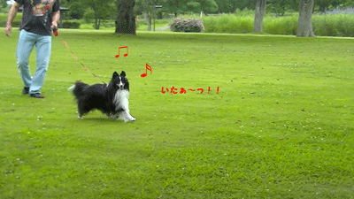 かくれんぼ3.gif