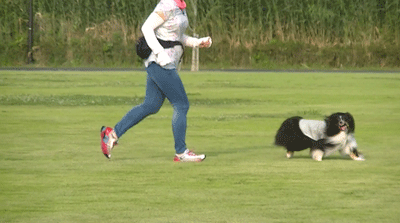 夏休み3.gif