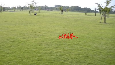 夏休み2.gif