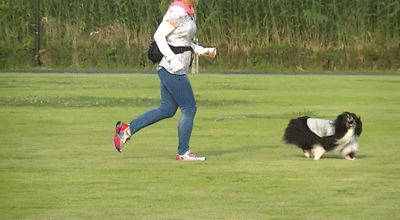 夏休み4.gif