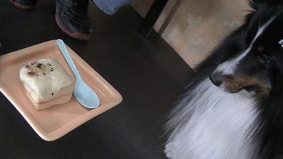 PIC_0140.gif