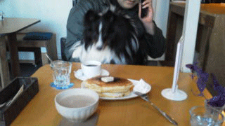 chibikipancake.gif