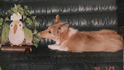 chibiko2.gif
