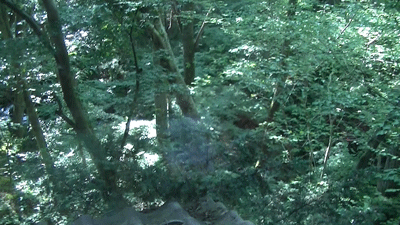 morinotokei2.gif