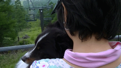 morningmist12.gif