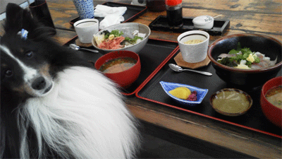 numa2.gif