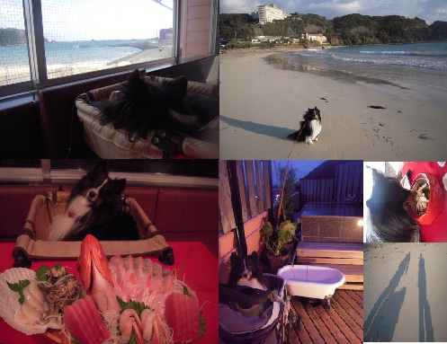 shimoda2012.jpg
