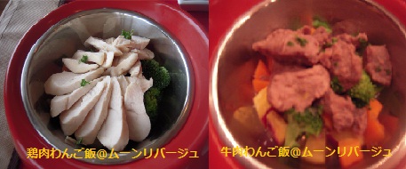 shimoda2012犬ご飯.jpg