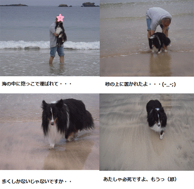 sotoura2012.gif