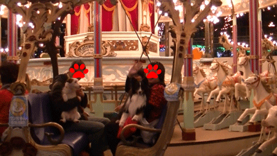 toshimaen3.gif