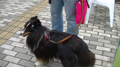 zippei4.jpg